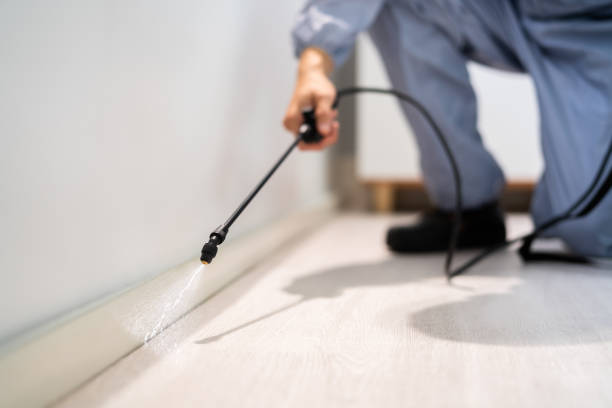 Licensed Mosquito Control service in Katonah, NY - Show Me Pest Control
