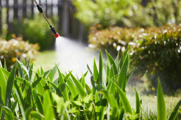 24/7 Emergency Mosquito Control experts in Katonah, NY