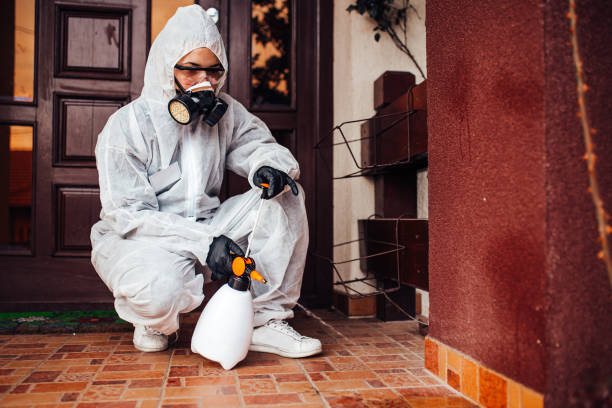 Reliable Mosquito Control contractor in Katonah, NY by Show Me Pest Control